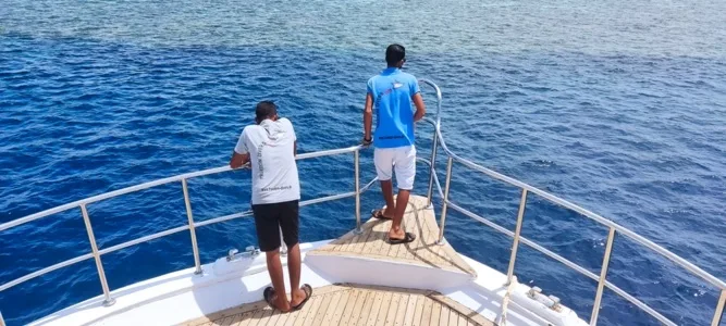 Deux hommes regardent la mer depuis le pont d'un bateau