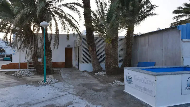Façade d'un centre de plongée avec palmiers et bac de rinçage