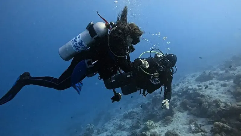 Deux plongeurs explorent un récifal corallien en eau bleue claire