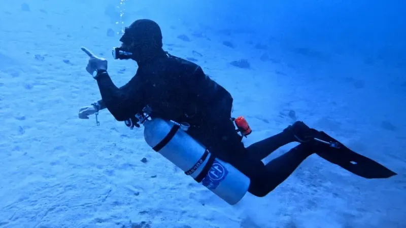 Plongeur en combinaison noire pointant vers le haut dans l'eau bleue
