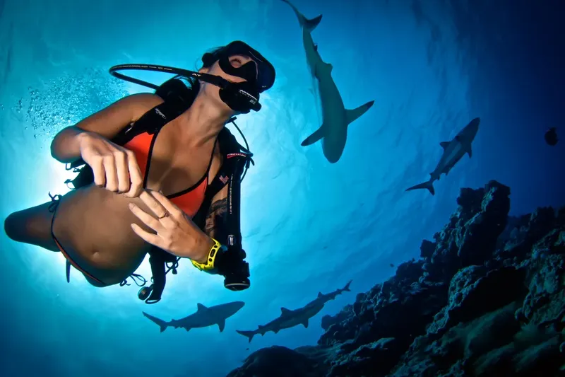 Plongeuse face à des requins dans une eau bleue et claire