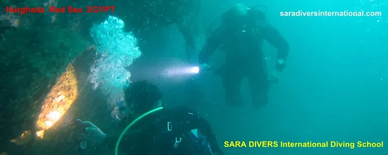 Deux plongeurs explorent un récif corallien sous-marin en mer Rouge