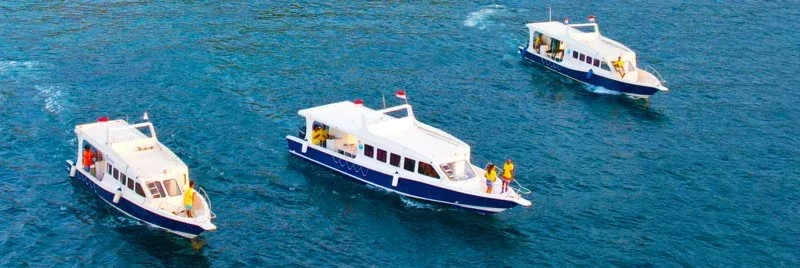 Trois bateaux de plongée blancs et bleus naviguent sur une mer calme
