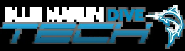 Logo bleu et blanc avec un dauphin et le mot DIVE