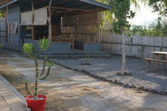 Terrasse ombragée devant un bâtiment, végétation tropicale et gravier