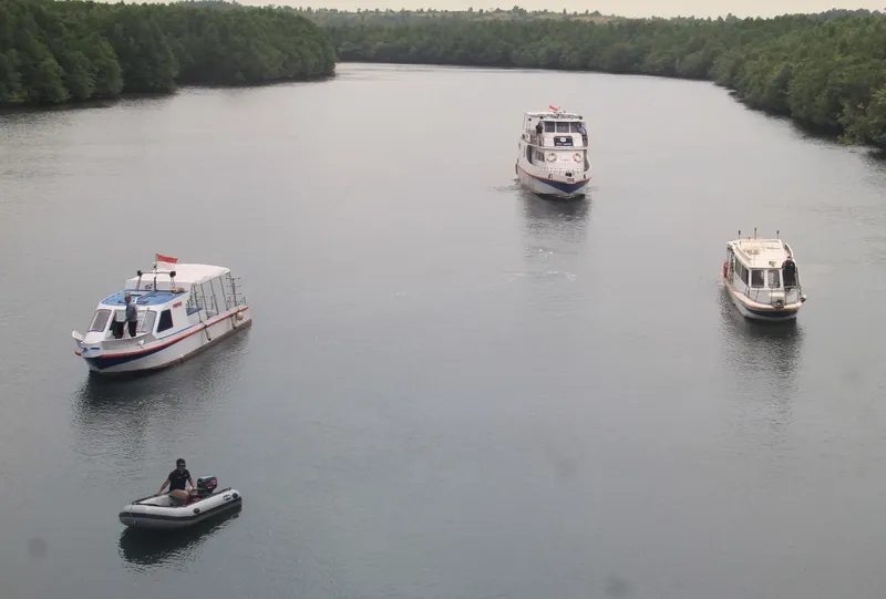 Trois bateaux naviguent sur une rivière bordée de végétation dense