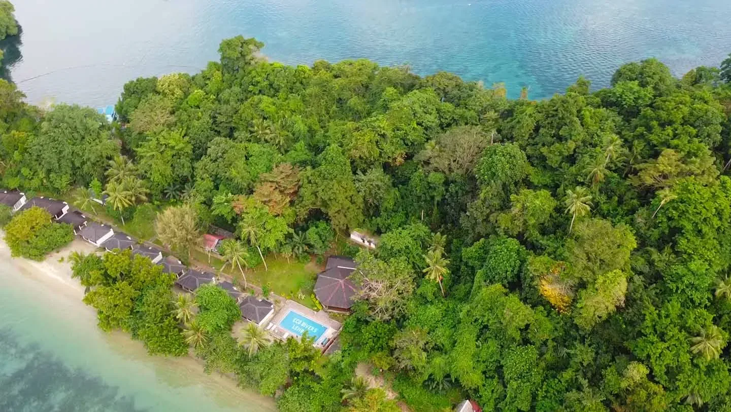 Lembeh - White Sands Beach Resort - Eco Divers