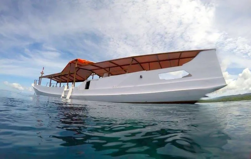 Grand bateau blanc avec des passagers, vue depuis la surface de l'eau