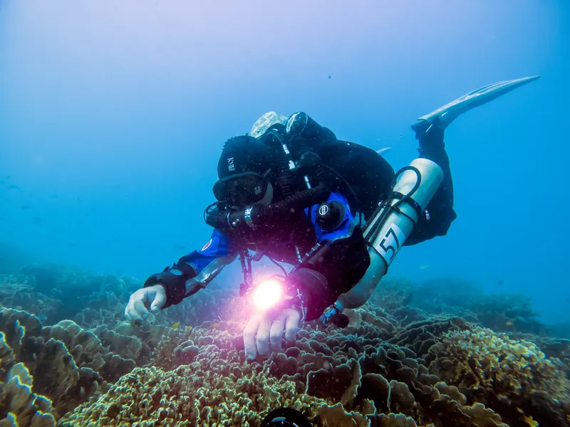 Plongeur explorant un récifal corallien avec une lampe torche sous-marine