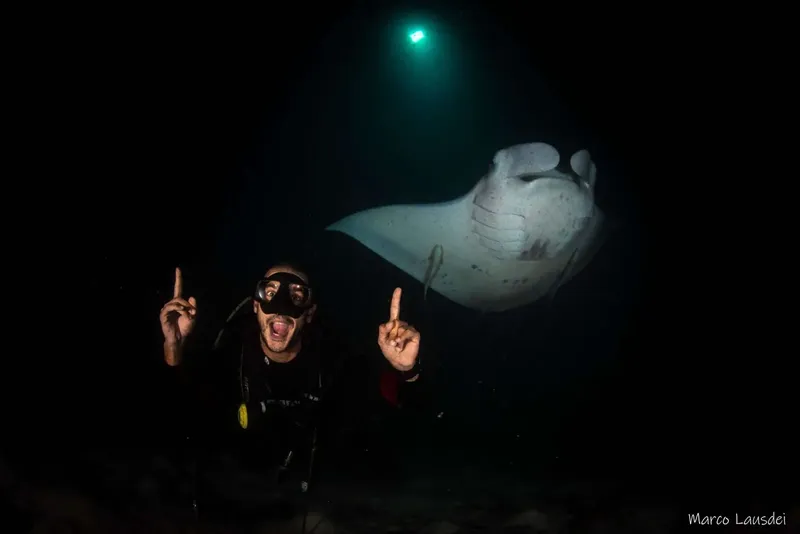 Plongeur enthousiaste pointant une raie manta géante dans l'océan