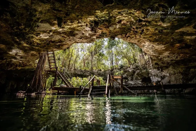 Grotte sous-marine avec escaliers en bois et végétation luxuriante