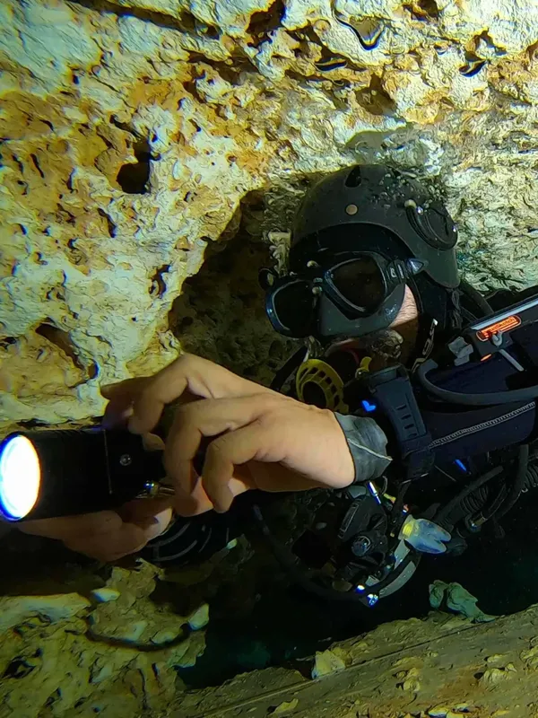 Plongeur éclairant une paroi rocheuse avec une lampe sous-marine