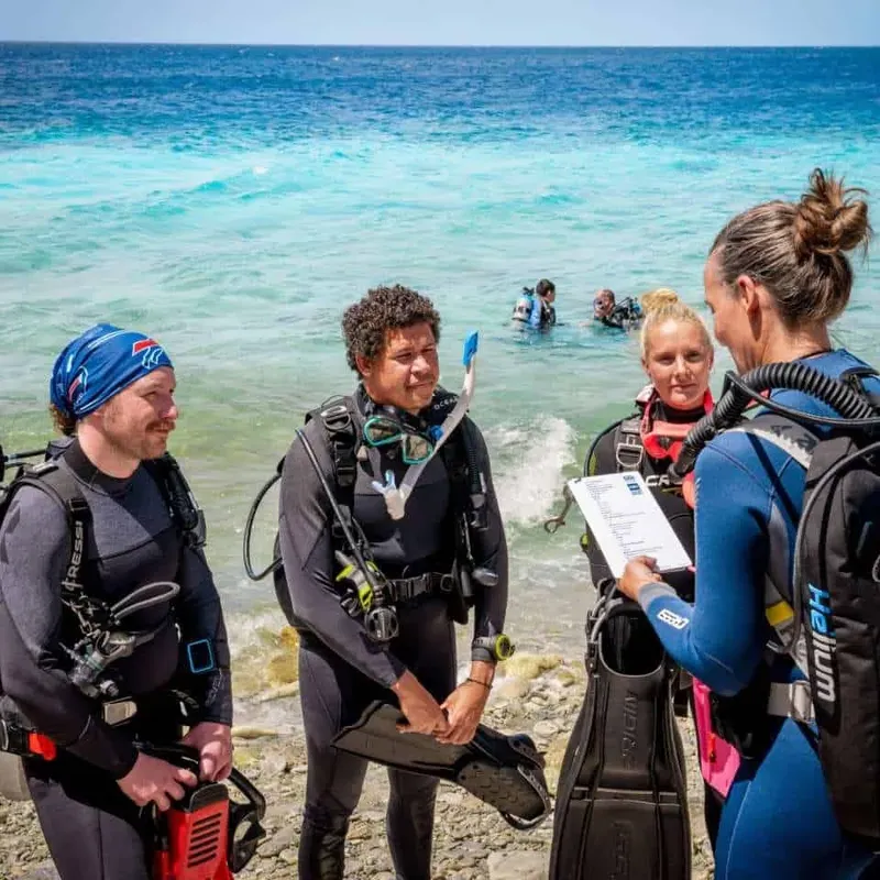 Plongeurs équipés discutent sur une plage ensoleillée avant une immersion