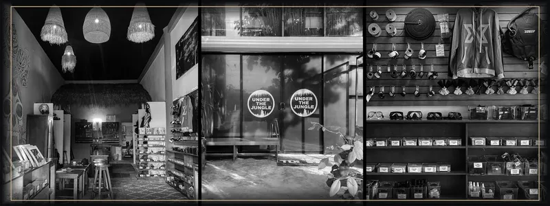 Intérieur d'un magasin de plongée avec matériel et devanture vitrée