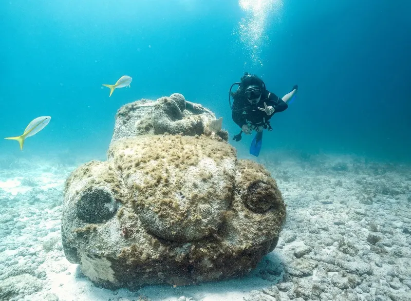 Plongeur près d'une statue de tortue et de poissons jaunes