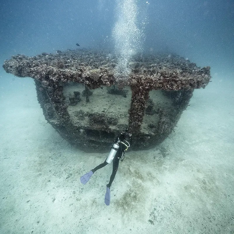 Plongeur explorant une structure artificielle colonisée par la vie marine