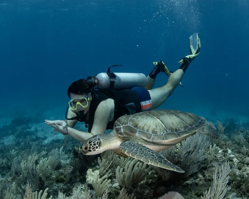 Plongeuse nageant à côté d'une tortue marine dans un récif corallien