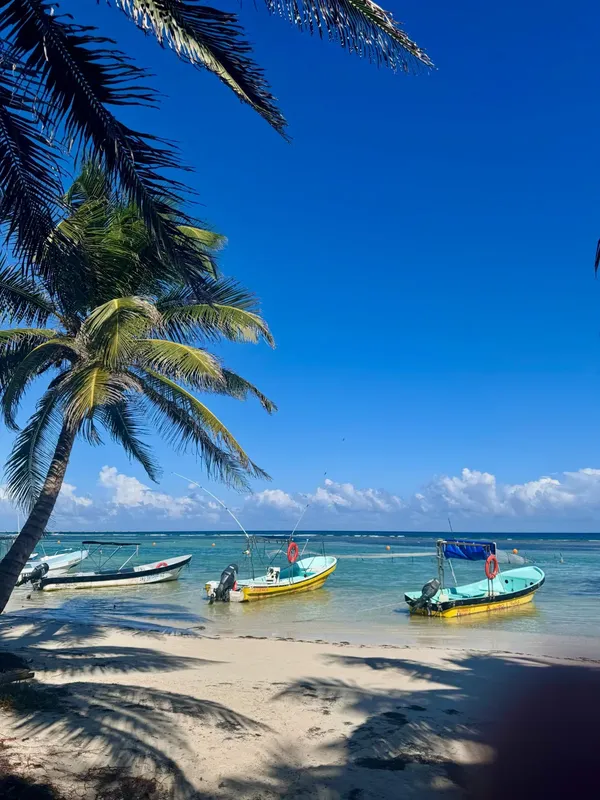 Plage tropicale avec des bateaux de pêche colorés et palmiers