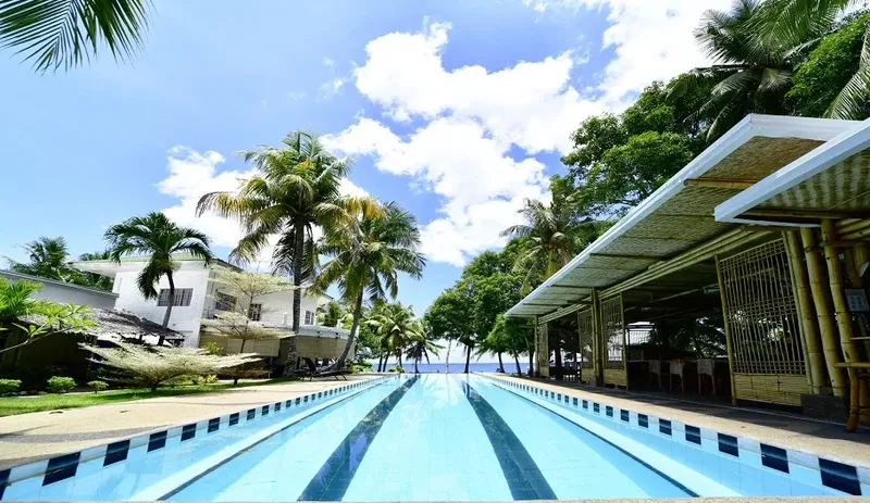 Bâtiment avec toit en chaume, piscine et végétation tropicale ensoleillée