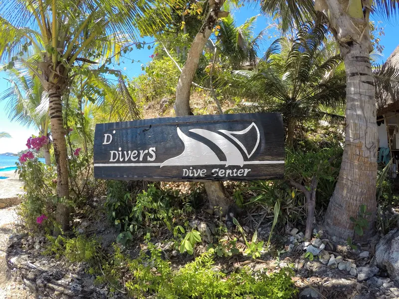 Enseigne d'un centre de plongée avec palmes et vagues tropicales