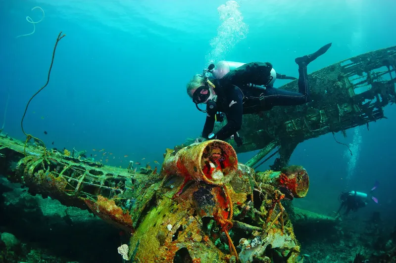 Plongeur explore une épave métallique colonisée par la vie marine