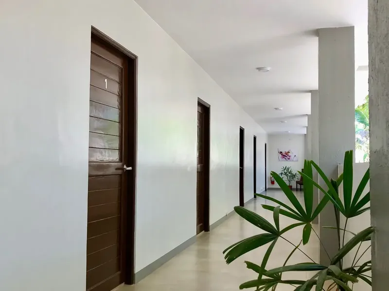 Couloir intérieur clair avec portes en bois et plantes vertes