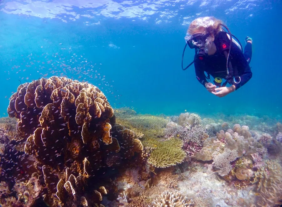 Plongeuse explorant un récif corallien avec des bancs de poissons