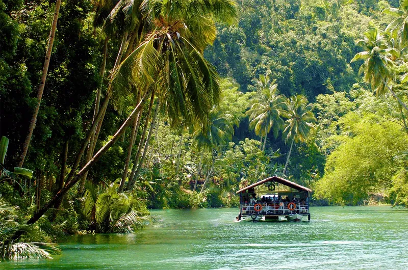 Bateau à passagers naviguant sur une rivière tropicale verdoyante
