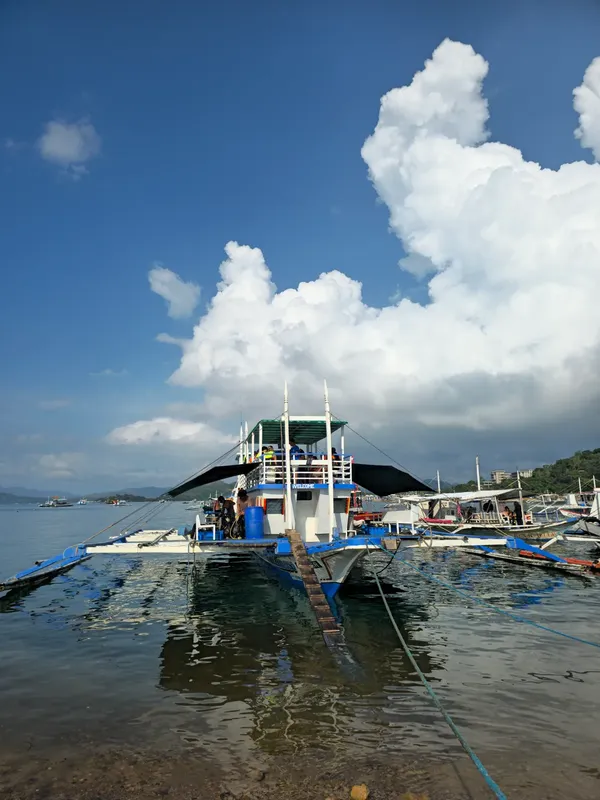 Plusieurs bateaux de pêche amarrés dans une baie ensoleillée