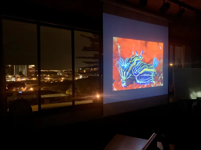 Projection d'une nudibranche colorée dans une salle sombre avec vue