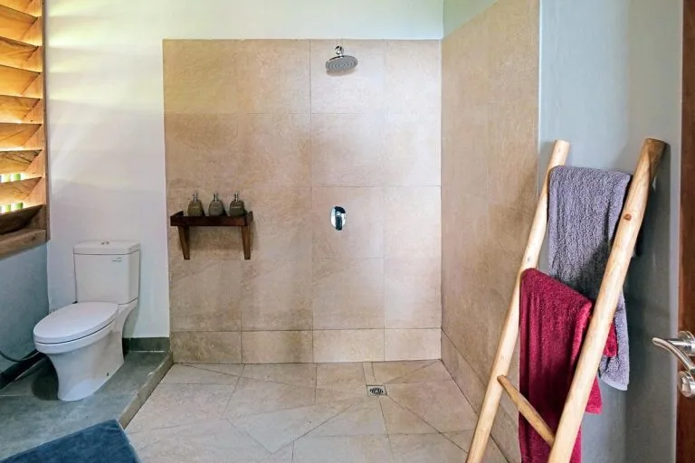 Salle de bain avec douche à l'italienne, toilettes et serviettes
