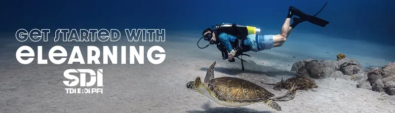 Plongeur et tortues marines dans un environnement sous-marin clair