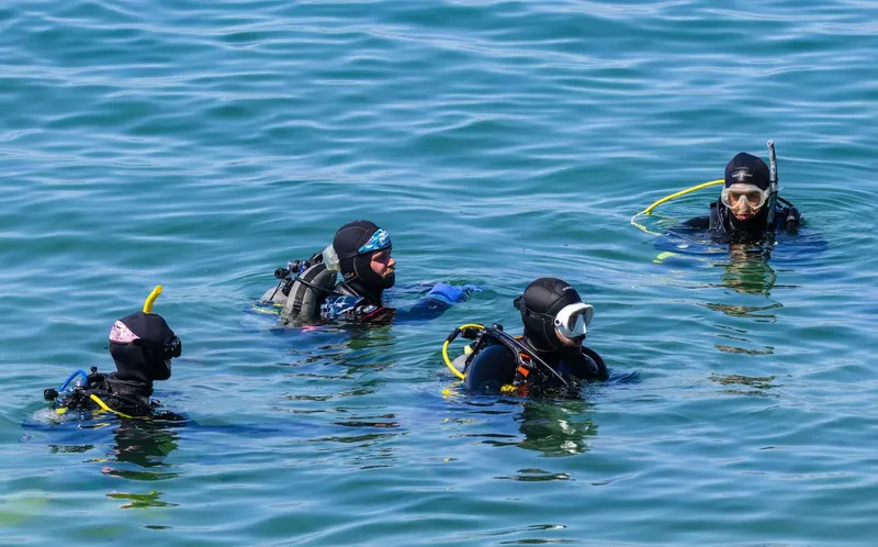 Plongeurs en surface, équipés de masques et de détendeurs, flottent