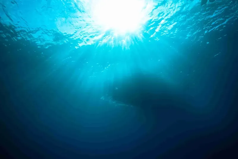Rayons de soleil perçant la surface de l'eau en plongée sous-marine