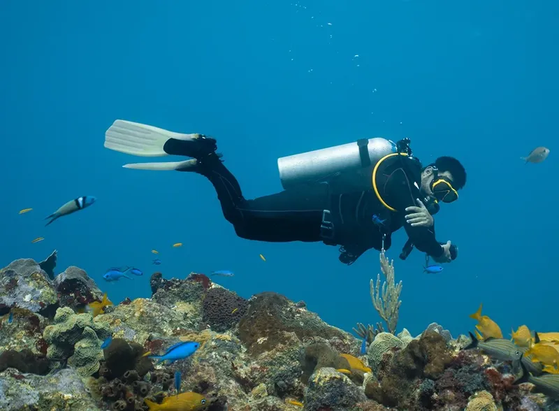 Plongeur explore un récifal corallien avec de nombreux poissons colorés