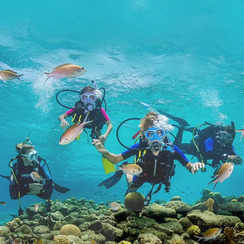 Plongeurs souriants interagissent avec des poissons colorés dans un récif corallien