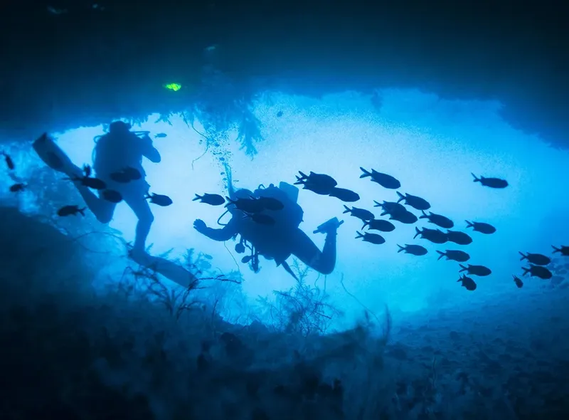 Deux plongeurs explorent un récifal avec un banc de poissons