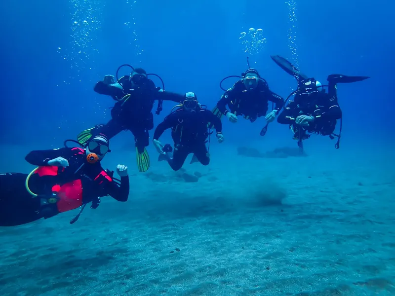 Quatre plongeurs en combinaison explorent les fonds marins bleus