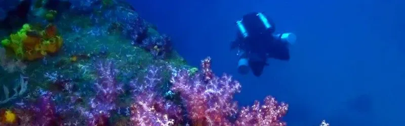 Plongeur explorant un récif corallien coloré en profondeur