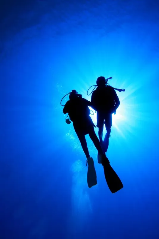 Deux plongeurs en silhouette remontent vers la lumière du soleil