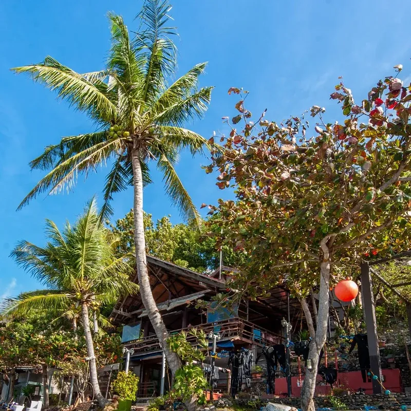 Bâtiment tropical avec combinaisons de plongée séchant à l'extérieur