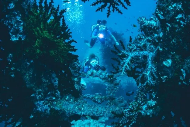 Deux plongeurs explorent un récif corallien bleu et luxuriant