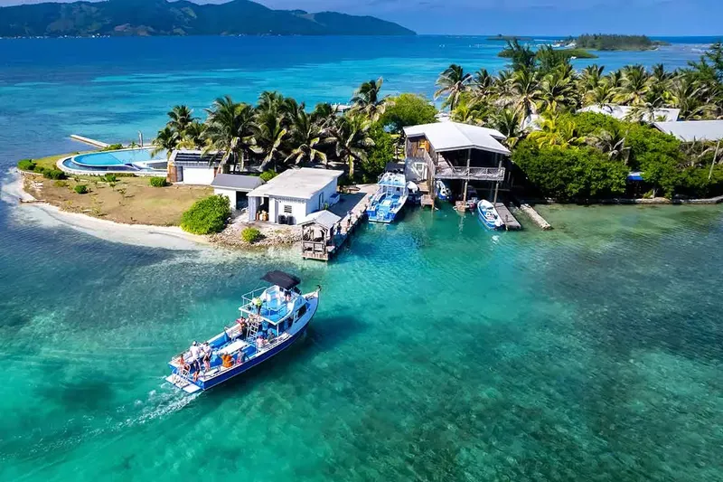 Vue aérienne d'un centre de plongée avec bateaux et personnes