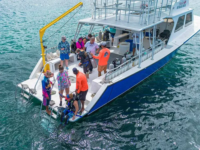 Plongeurs équipés sur un bateau de plongée bleu et blanc en mer