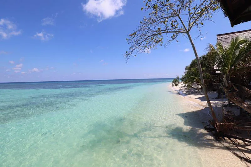 Plage de sable blanc, eau turquoise et végétation tropicale ensoleillée