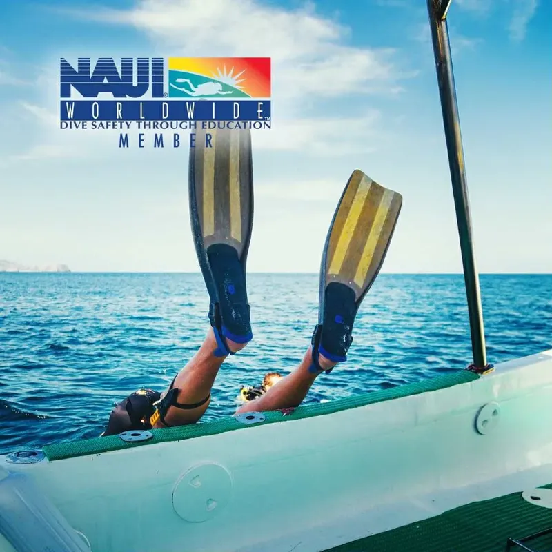 Pieds palmés d'un plongeur sortant d'un bateau turquoise en mer