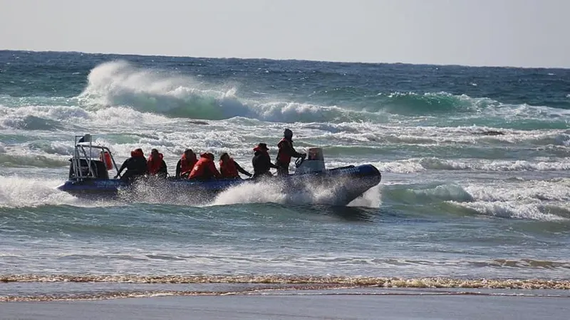 Embarcation semi-rigide navigue sur une mer agitée avec des passagers