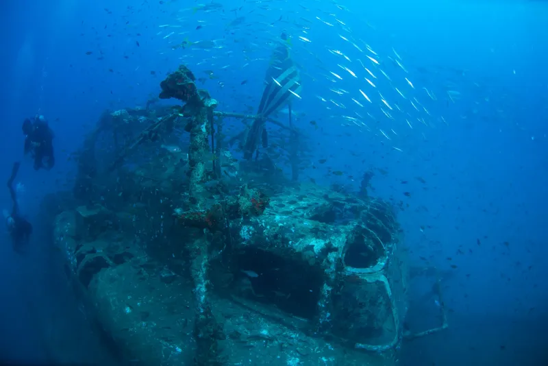 Épave sous-marine colonisée par la vie marine et explorée par des plongeurs