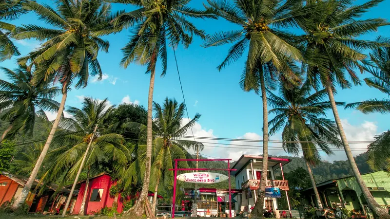 Centre de plongée tropical avec enseigne d'accueil et palmiers luxuriants