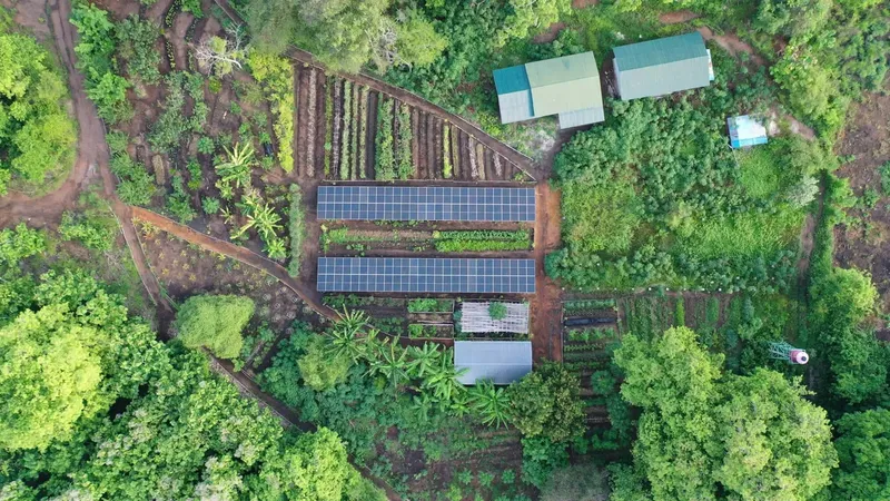 Vue aérienne d'une ferme avec des panneaux solaires et végétation luxuriante